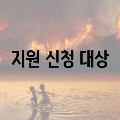 지원 신청 대상