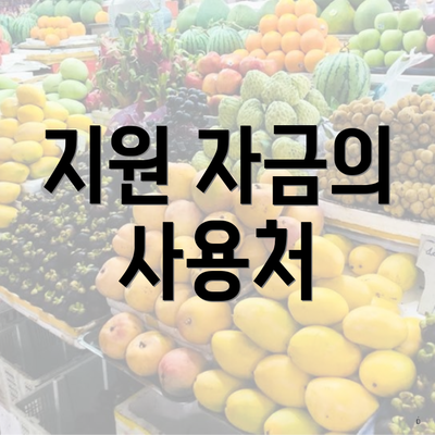 지원 자금의 사용처