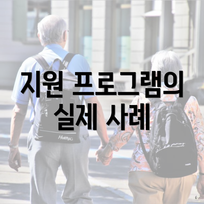 지원 프로그램의 실제 사례
