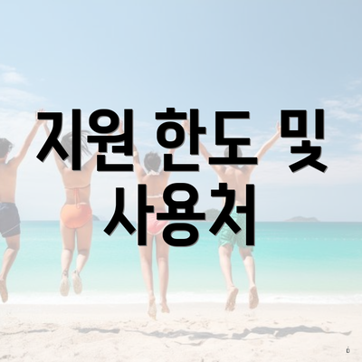 지원 한도 및 사용처