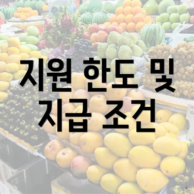 지원 한도 및 지급 조건