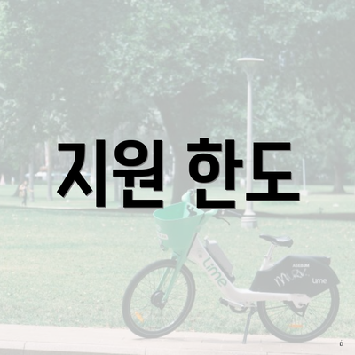 지원 한도