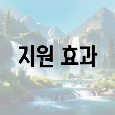 지원 효과