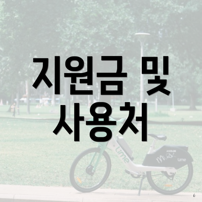 지원금 및 사용처