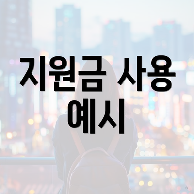 지원금 사용 예시