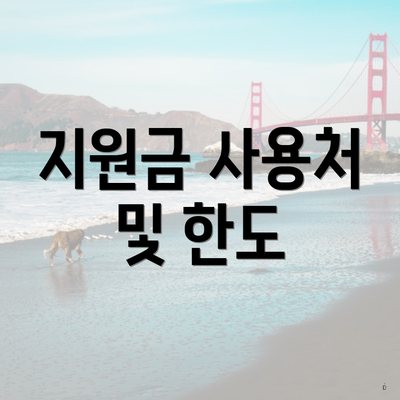 지원금 사용처 및 한도