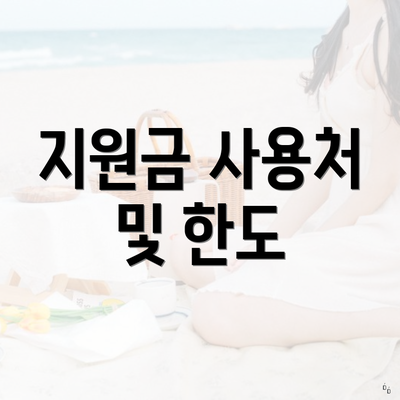 지원금 사용처 및 한도