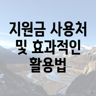 지원금 사용처 및 효과적인 활용법