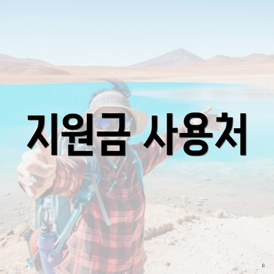 지원금 사용처