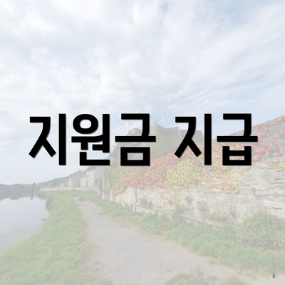 지원금 지급