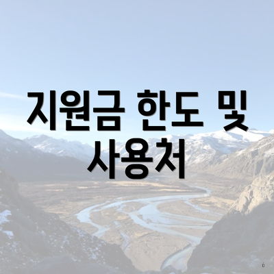 지원금 한도 및 사용처