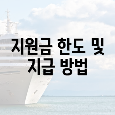 지원금 한도 및 지급 방법