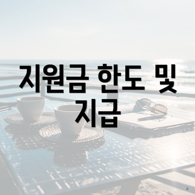 지원금 한도 및 지급