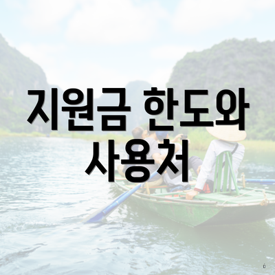 지원금 한도와 사용처