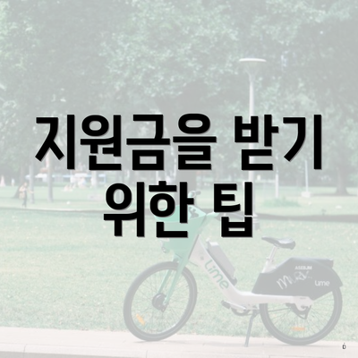 지원금을 받기 위한 팁