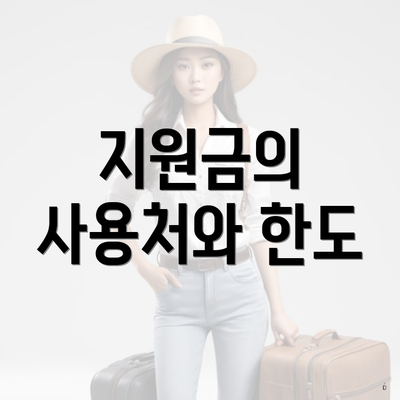 지원금의 사용처와 한도