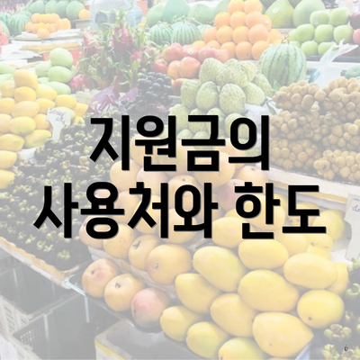 지원금의 사용처와 한도