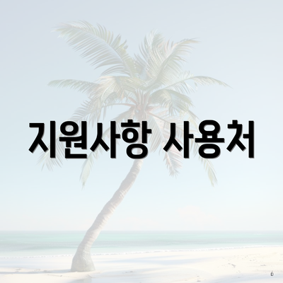 지원사항 사용처