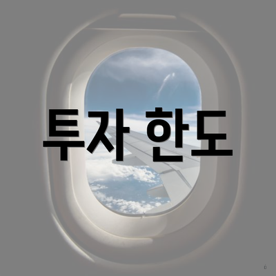 투자 한도