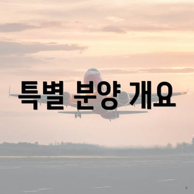 특별 분양 개요
