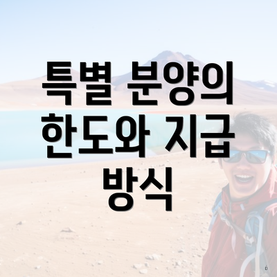 특별 분양의 한도와 지급 방식