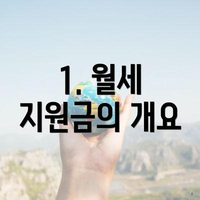 1. 월세 지원금의 개요