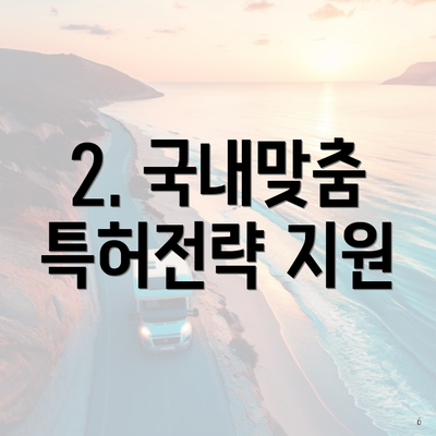 2. 국내맞춤 특허전략 지원