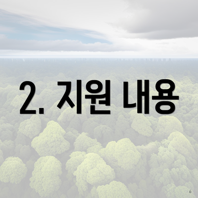 2. 지원 내용