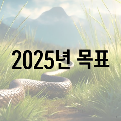 2025년 목표
