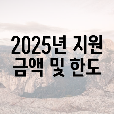 2025년 지원 금액 및 한도