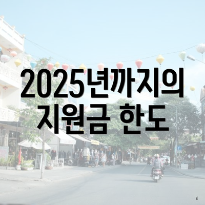 2025년까지의 지원금 한도