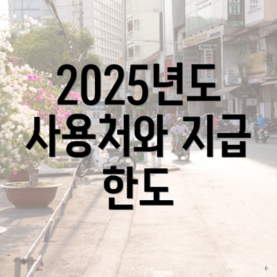 2025년도 사용처와 지급 한도