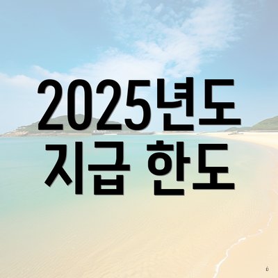 2025년도 지급 한도