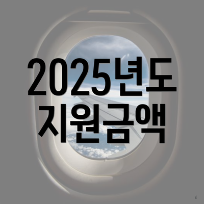 2025년도 지원금액