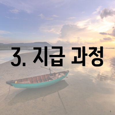 3. 지급 과정