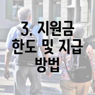 3. 지원금 한도 및 지급 방법