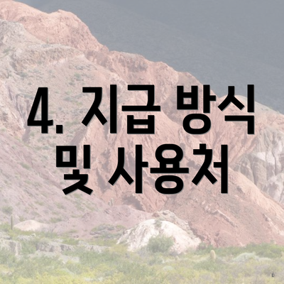 4. 지급 방식 및 사용처