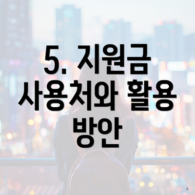 5. 지원금 사용처와 활용 방안
