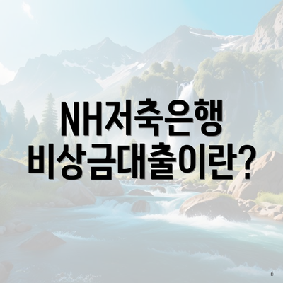 NH저축은행 비상금대출이란?