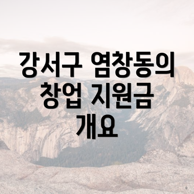 강서구 염창동의 창업 지원금 개요