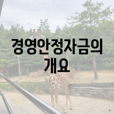 경영안정자금의 개요