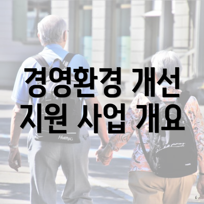 경영환경 개선 지원 사업 개요