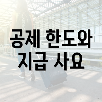 공제 한도와 지급 사요