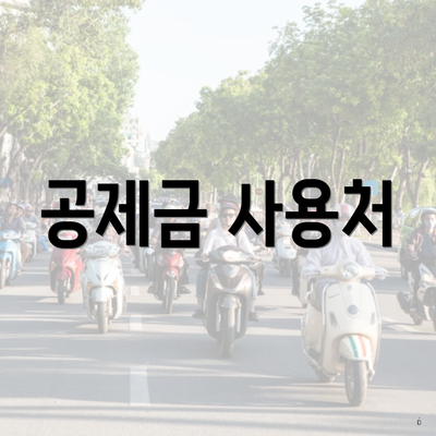 공제금 사용처