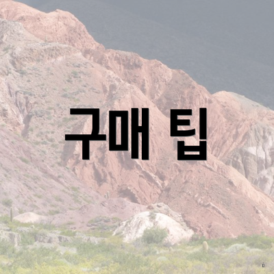 구매 팁