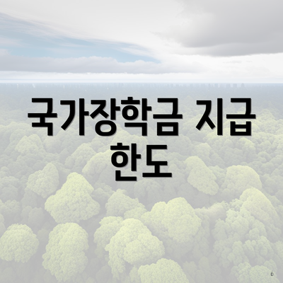 국가장학금 지급 한도