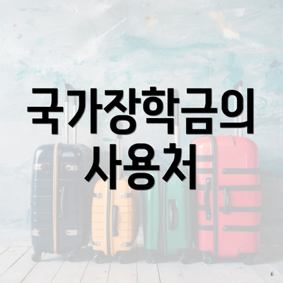 국가장학금의 사용처