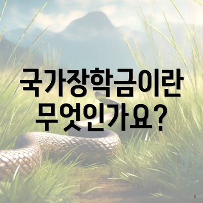 국가장학금이란 무엇인가요?