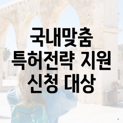 국내맞춤 특허전략 지원 신청 대상