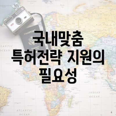 국내맞춤 특허전략 지원의 필요성